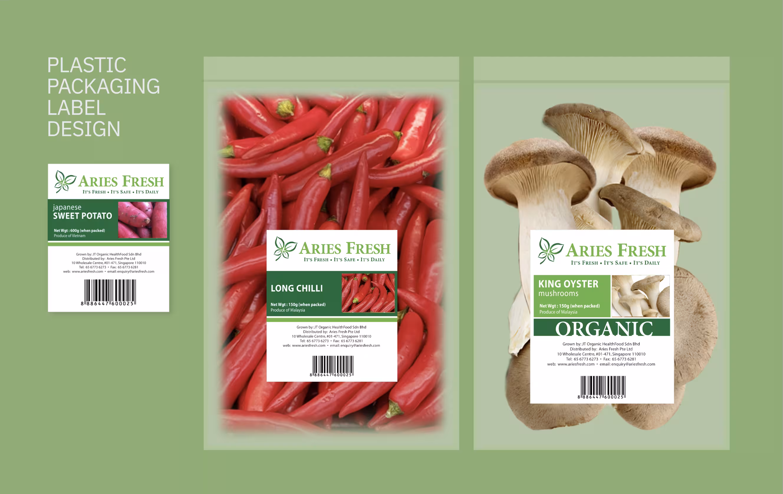 Aries Fresh Logo Design, Ease Communications