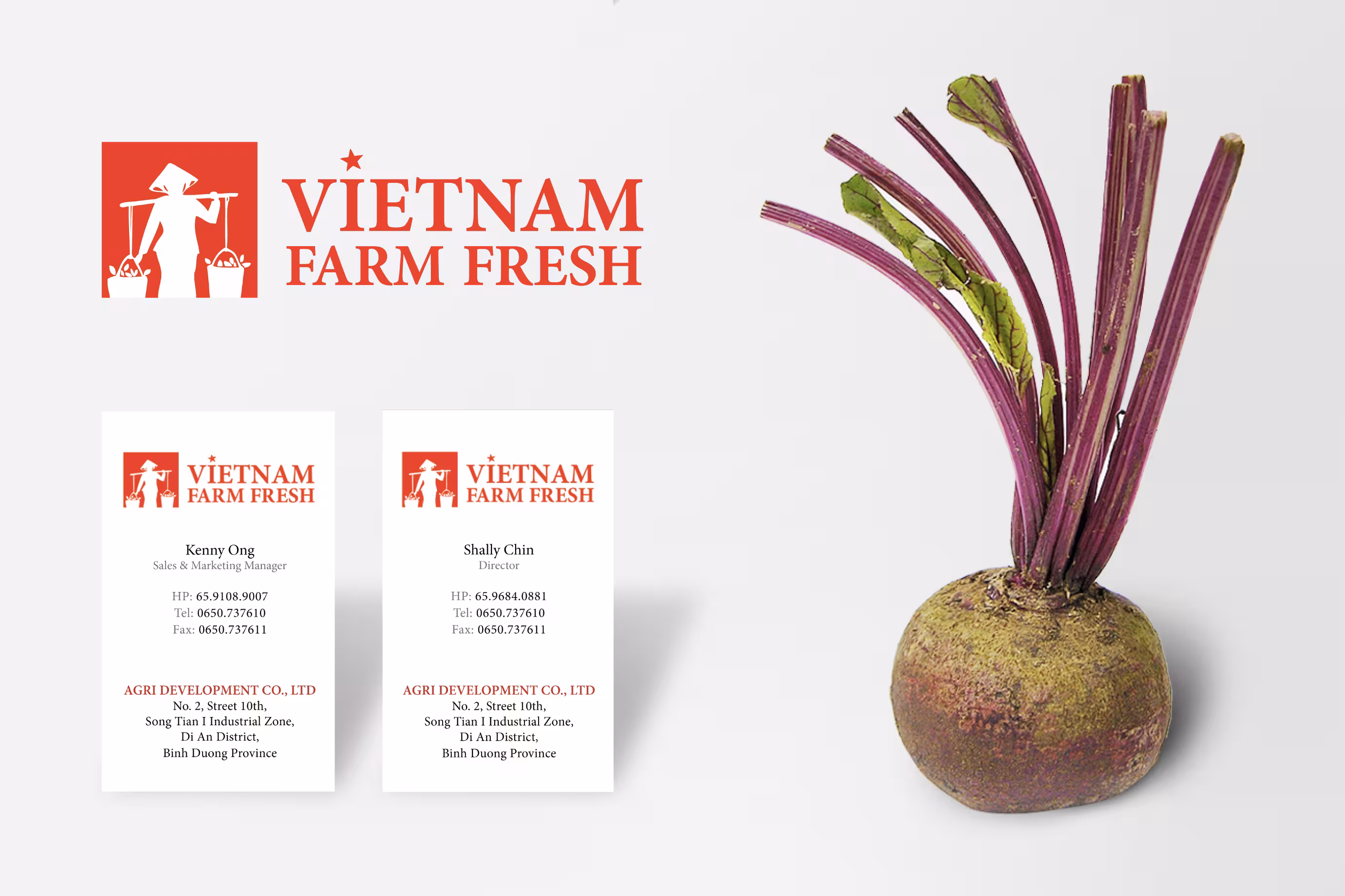 Vietnam Farm Fresh, Name Card Design | Ease Communications